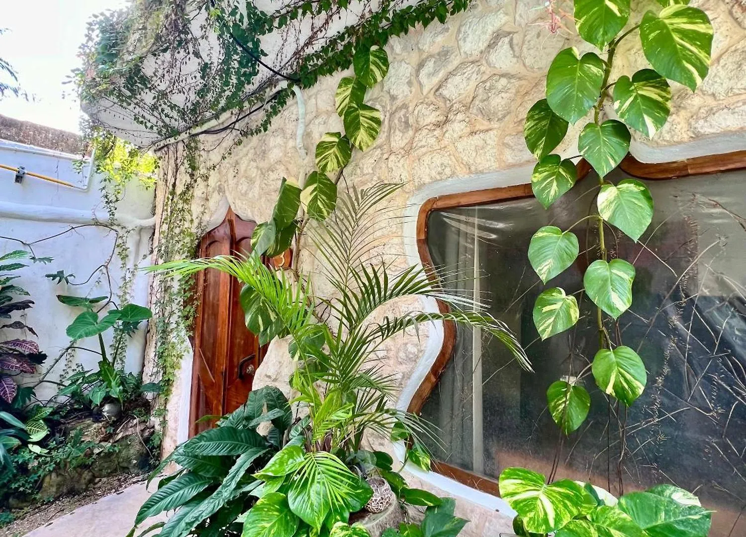 La Quinta Orquidea Bed & Breakfast Puerto Morelos