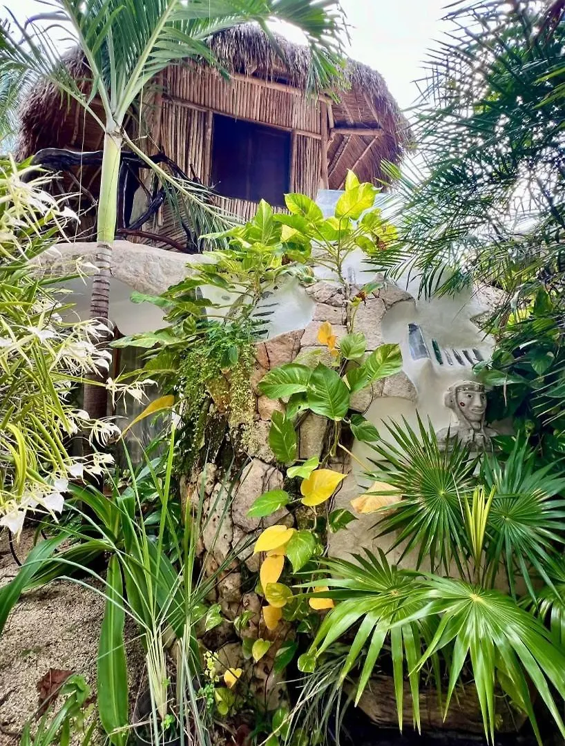 La Quinta Orquidea Bed & Breakfast Puerto Morelos Mexico